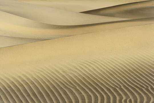morning dunes