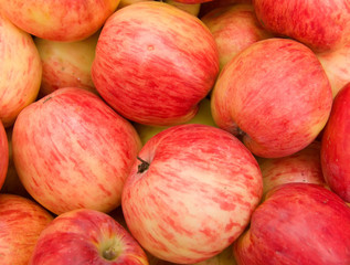 Fruit apples red