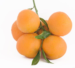 Bunch of tangerines isolated on white background