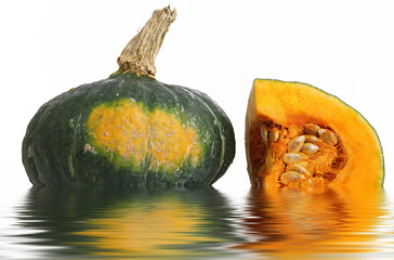 zucca