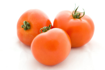 tomatoes