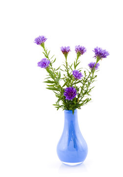 Blue vase with purple asters