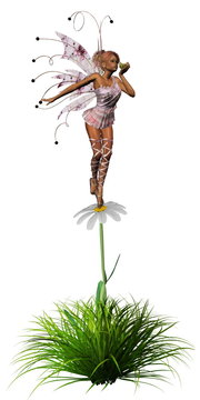 Die Elfe und der Frosch