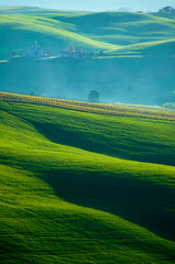 Sensuous hills