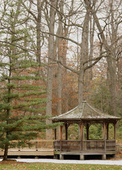 Gazebo in the Forest