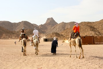 tourist on camel