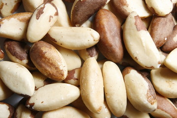 Obraz premium nuts