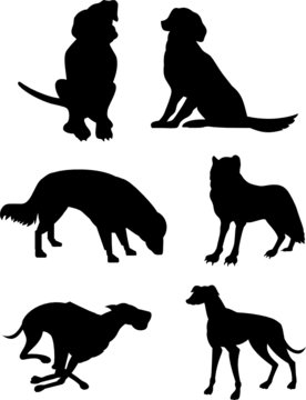 Dog silhouettes