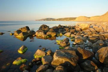 Fotobehang Kust stony coast
