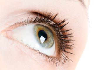 Human eye