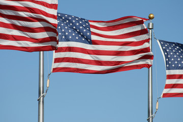 Obraz premium Star Spangled and Stripes