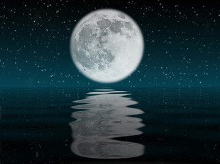 Obraz na płótnie Canvas Luna nell'oceano