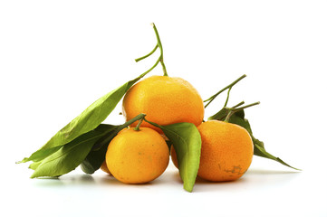 Ripe tangerines
