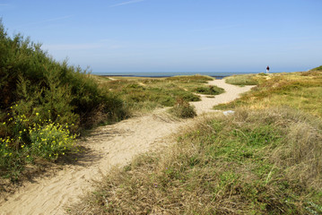 Dunes de la Cotinière à l'île d'Oléron