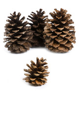 Pine Cones Isolated on White