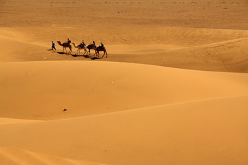 Fototapeta na wymiar Camel caravan, Tinfou Dunes, Morocco