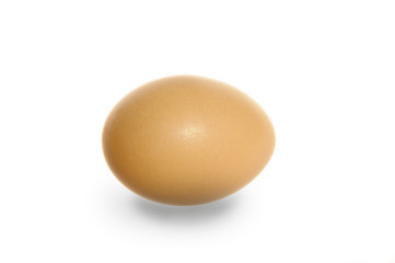 brown egg isolated