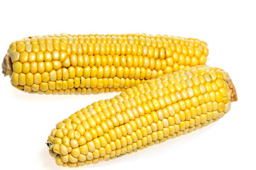 corn cobs isolated
