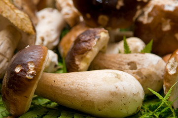 cepes