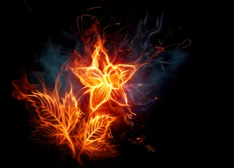 Crédence de cuisine en verre imprimé Flamme Fleur de feu