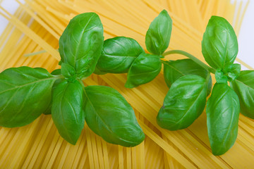 Spaghetti mit Basilikum