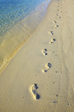 Footsteps on sandy beach