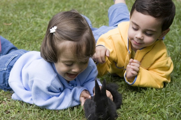 Boy and girl playing with a rabbit