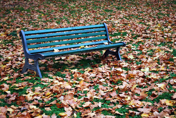 Banc sous platanes