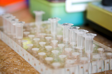 microbiology science