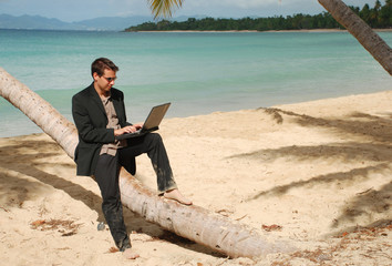 Homme assis sur un cocotier