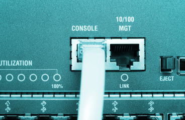 network cables connected to a switch - console