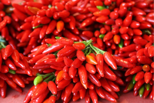piments rouges