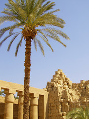 karnak temple 02