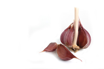 Garlic isolated on white