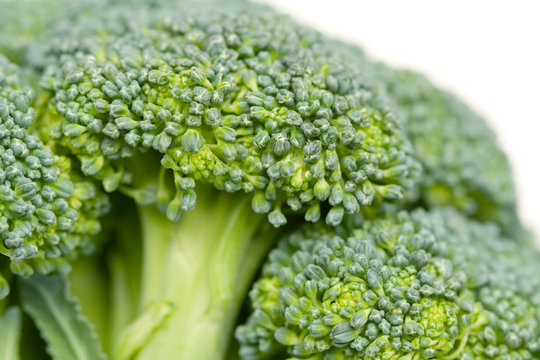 Broccoli Close-up