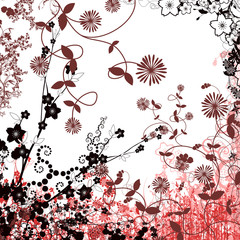 Frame for congratulations