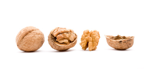 walnut