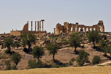 Fototapeta na wymiar Roman Ruins of Volubillis