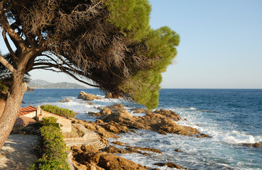 récifs, côte d'azur