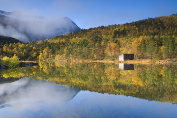 Mirrored fall landscape