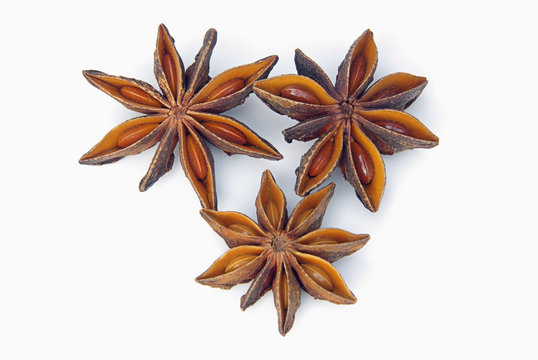 Anisstern - star from anis 02