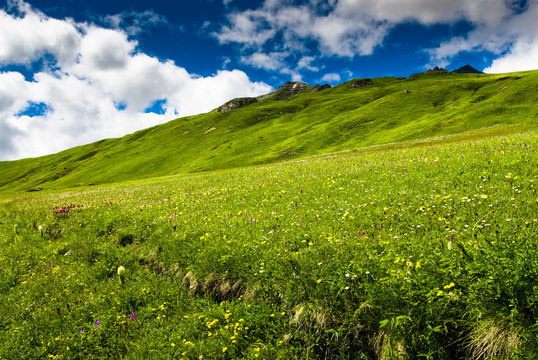 green hills an meadow