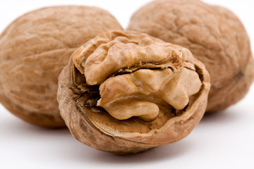 walnut