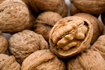 walnut