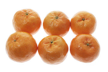 Chinese New Mandarins
