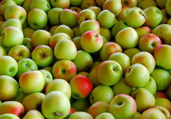 Apple pile