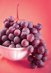 Red grape on pink