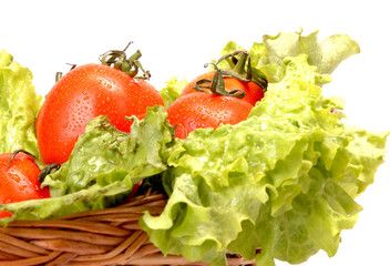 Tomatoes and Cabbage in a basket