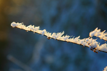 Naklejka premium Eisast1