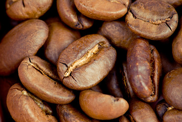 Macro close-up of coffee beans